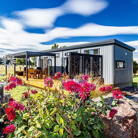 Mangateitei Views - Rangataua Tiny Home أوهاكيون المظهر الخارجي الصورة